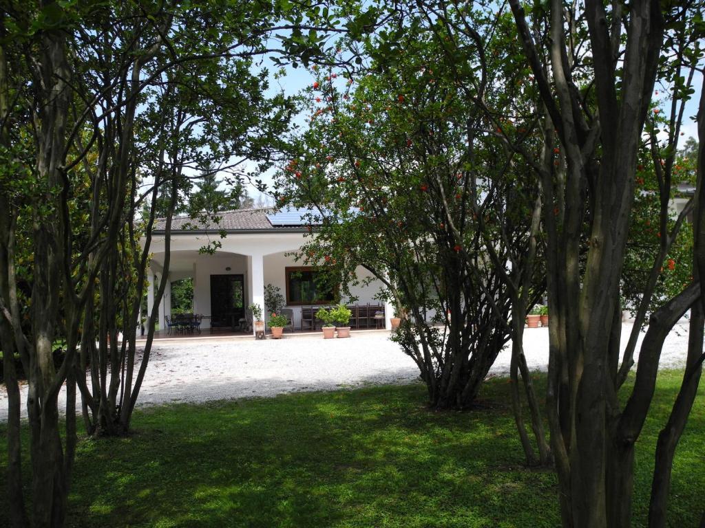 Silea B&B Villa Miani מראה חיצוני תמונה